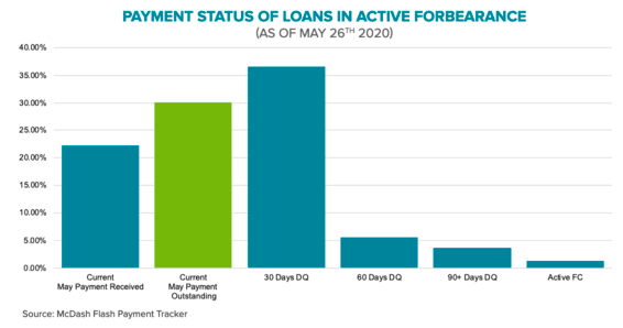 forbearance payment status