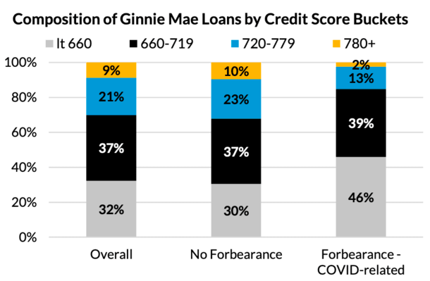 Ginnie credit score