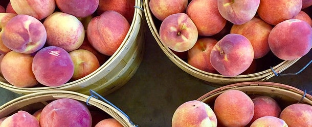 Georgia peaches